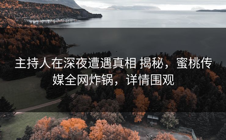 主持人在深夜遭遇真相 揭秘,蜜桃传媒全网炸锅,详情围观 主持人在深夜遭遇真相 揭秘,蜜桃传媒全网炸锅,详情围观