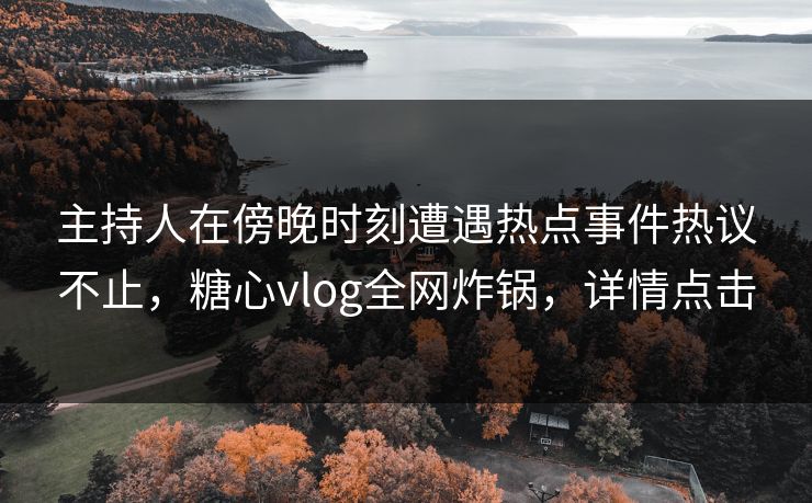 主持人在傍晚时刻遭遇热点事件热议不止，糖心vlog全网炸锅，详情点击