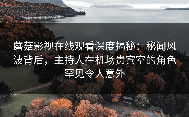 蘑菇影视在线观看深度揭秘：秘闻风波背后，主持人在机场贵宾室的角色罕见令人意外