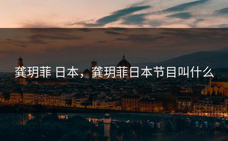 龚玥菲 日本，龚玥菲日本节目叫什么