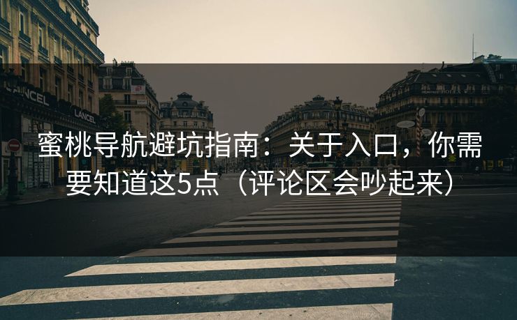 蜜桃导航避坑指南：关于入口，你需要知道这5点（评论区会吵起来）